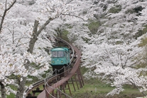 船岡城址公園