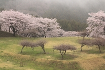 太陽の村