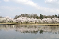 船岡駐屯地