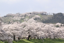 船岡城址公園