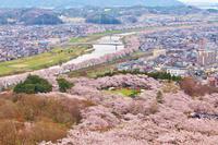 船岡城址公園山頂からの景色